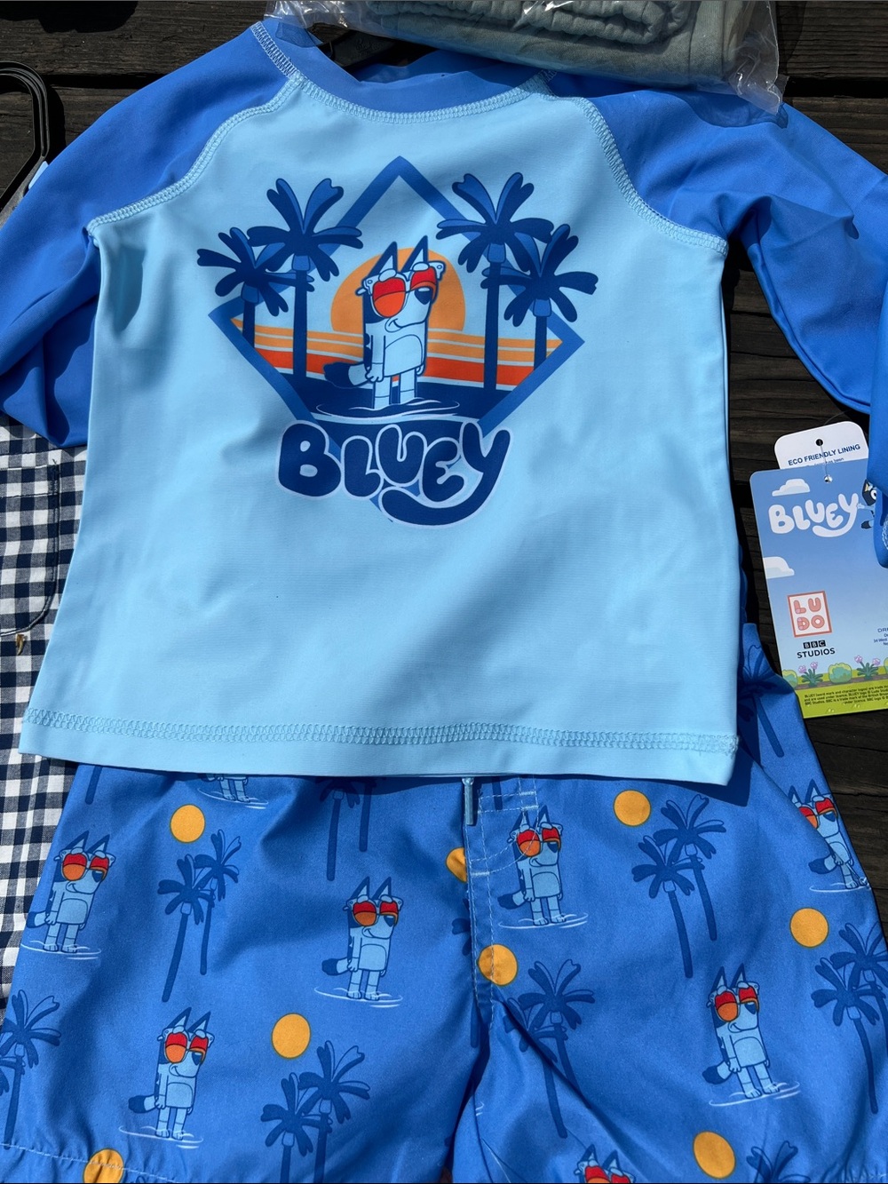 Blue 'Bluey' Boys' Rash Guard & Swim Shorts Set - Blue